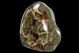Polished, Crystal Filled Septarian Nodule - Utah #170008-2